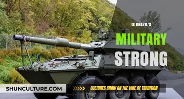 Brazil's Military Strength: Assessing Capabilities, Readiness, and Global Standing