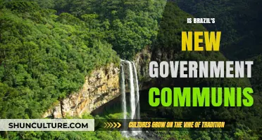 Is Brazil's New Government Communist? Analyzing Policies and Ideologies