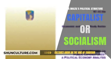 Brazil's Political Economy: Capitalist, Socialist, or a Hybrid Model?