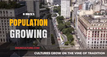 Brazil's Population Growth: Trends, Challenges, and Future Projections