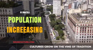 Brazil's Population Growth: Trends, Factors, and Future Projections