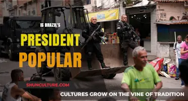 Is Brazil's President Popular? Analyzing Public Opinion and Approval Ratings