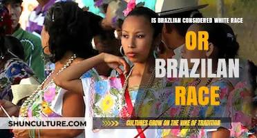 Brazilian Identity: White Race, Brazilian Race, or Unique Ethnicity?