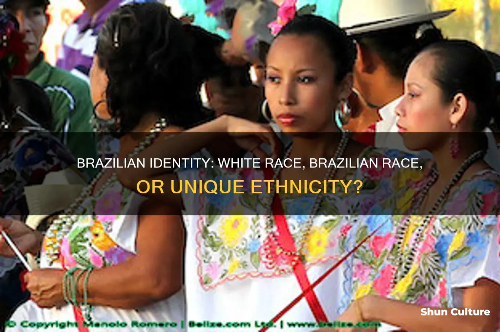 is brazlian considered white race or brazilan race