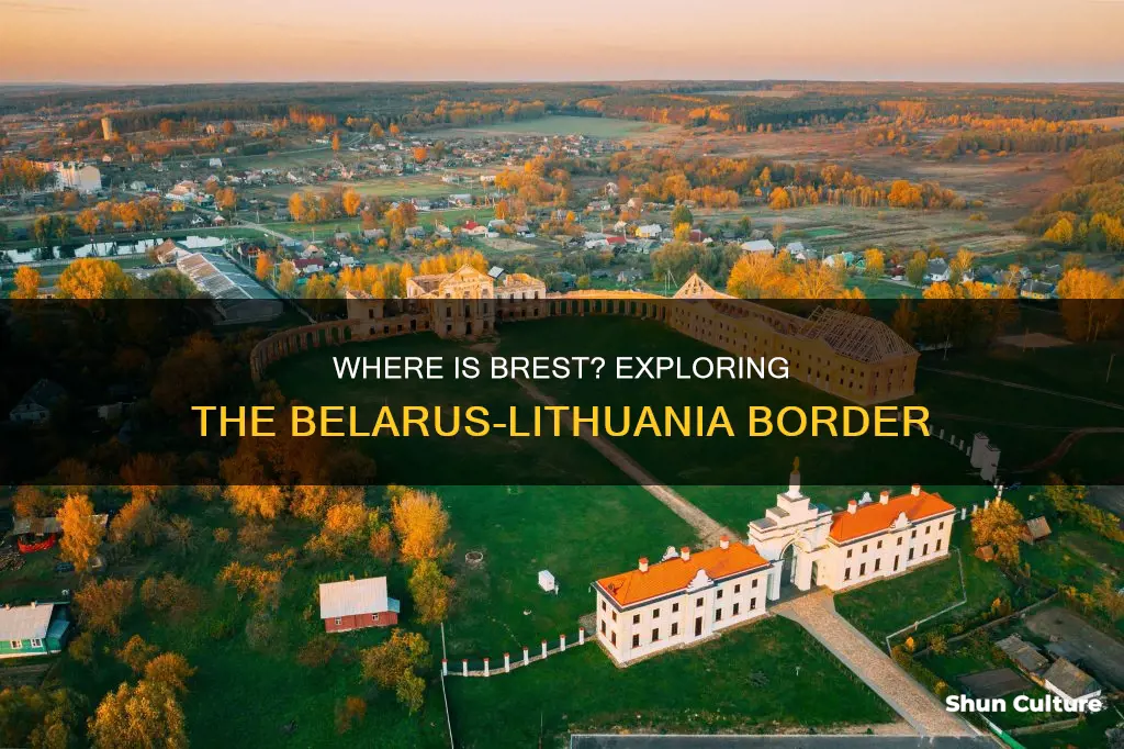 is brest belarus or lithuania