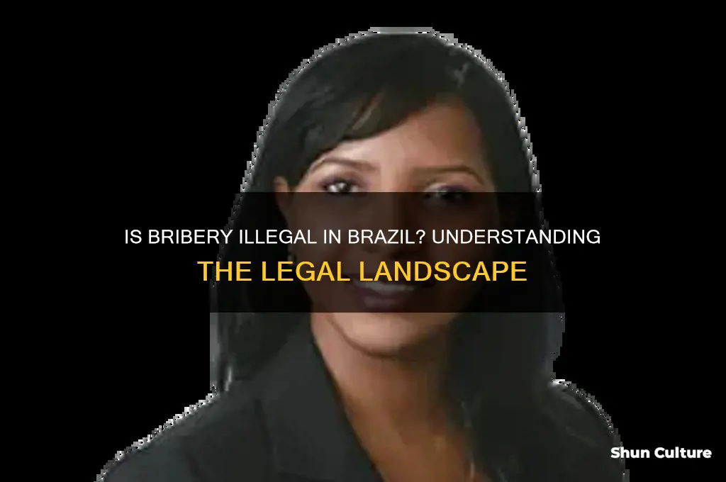 is bribery illegal in brazil