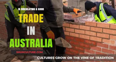 Lucrative Bricklaying: A Solid Trade Choice in Australia?