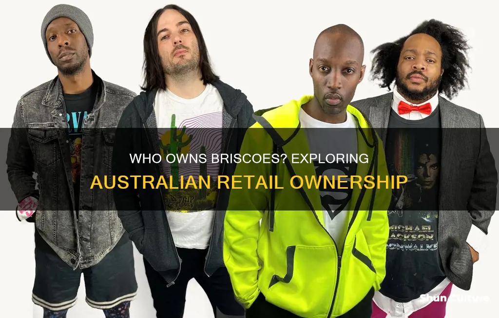 is briscoes australian owned