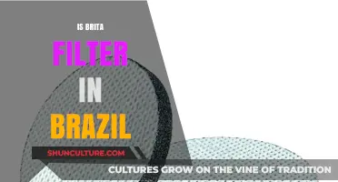 Exploring Brita Water Filters: Availability and Use in Brazil