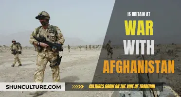 Britain's Complex Role in the Afghanistan Conflict