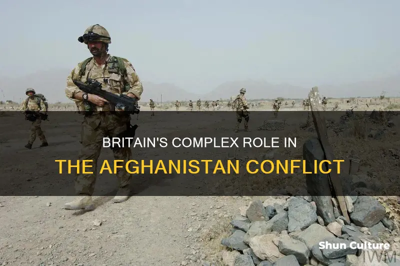 is britain at war with afghanistan