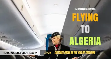 British Airways to Algeria: Current Flight Status and Updates