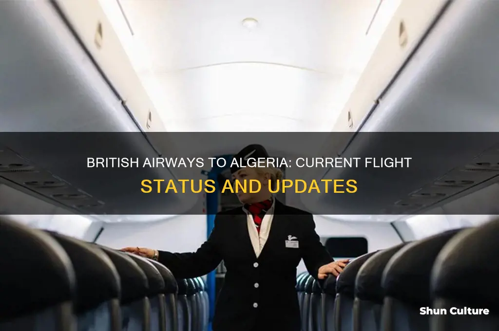 is british airways flying to algeria