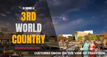 Brunei: A Developing Country in the Modern World