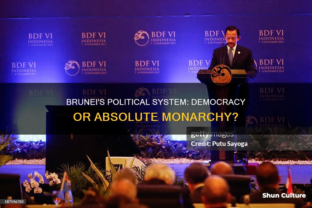 is brunei a democracy