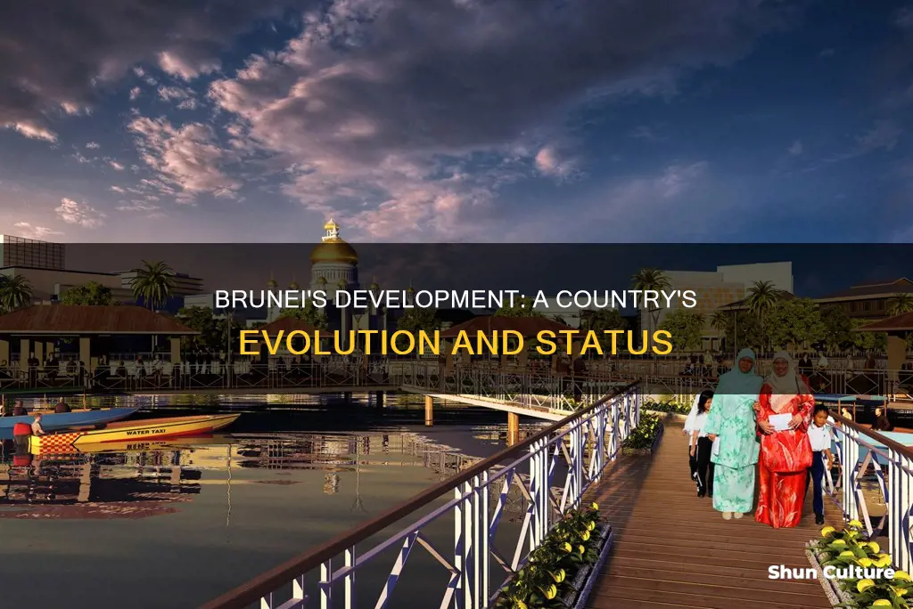 is brunei a developed country