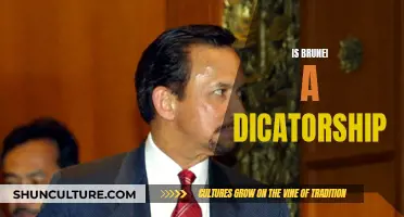 Brunei's Absolute Monarchy: A Modern Dictatorship?