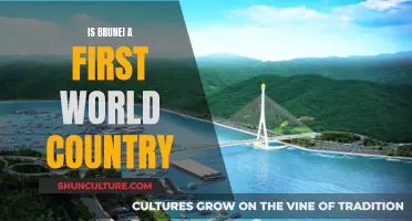 Brunei: A First World Country or Not?