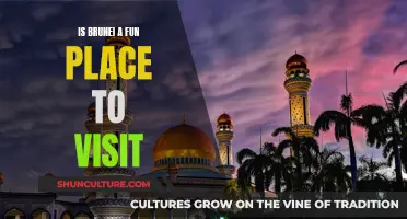 Exploring Brunei: A Fun Vacation Spot?