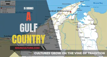 Brunei: Gulf Country or Not?