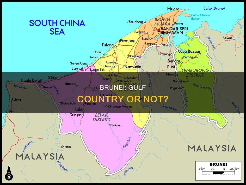 is brunei a gulf country