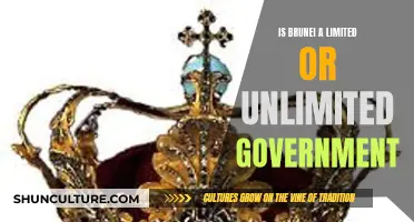 Brunei's Government: Limited or Unlimited?