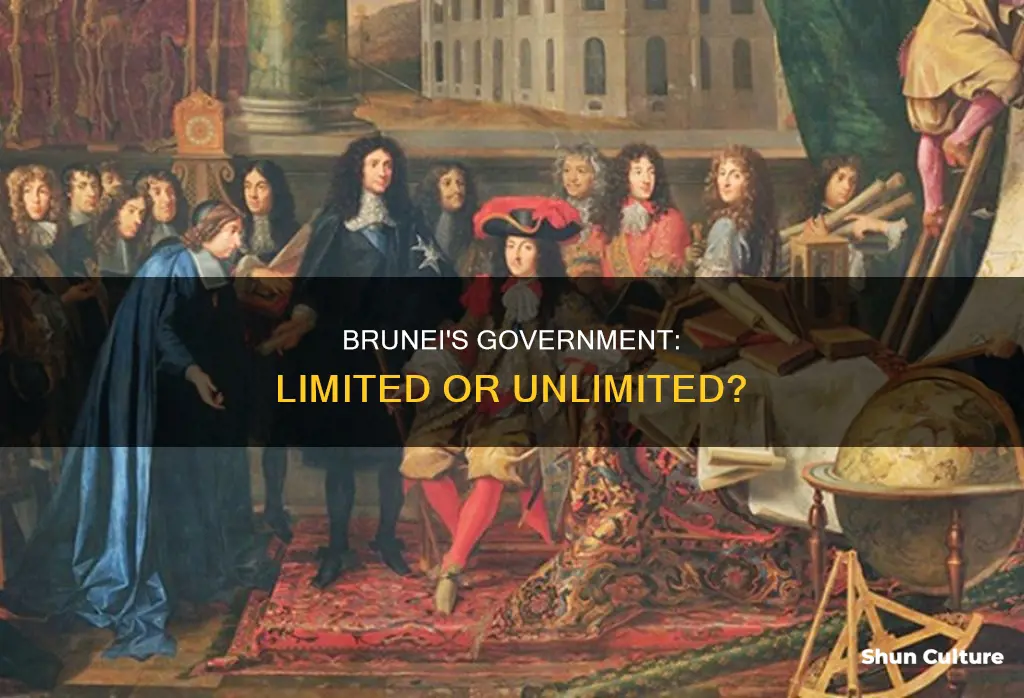 is brunei a limited or unlimited government