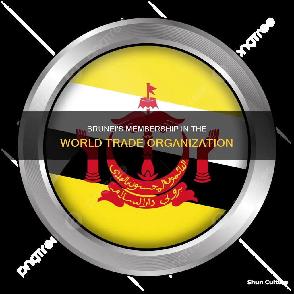 is brunei a member of the wto