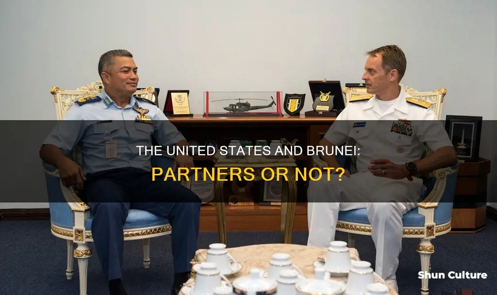 is brunei a partner of the united states