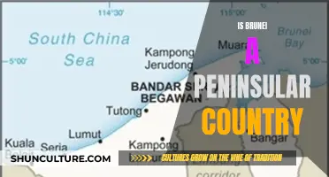 Brunei: A Country on a Peninsula?