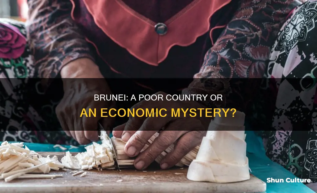 is brunei a poor country