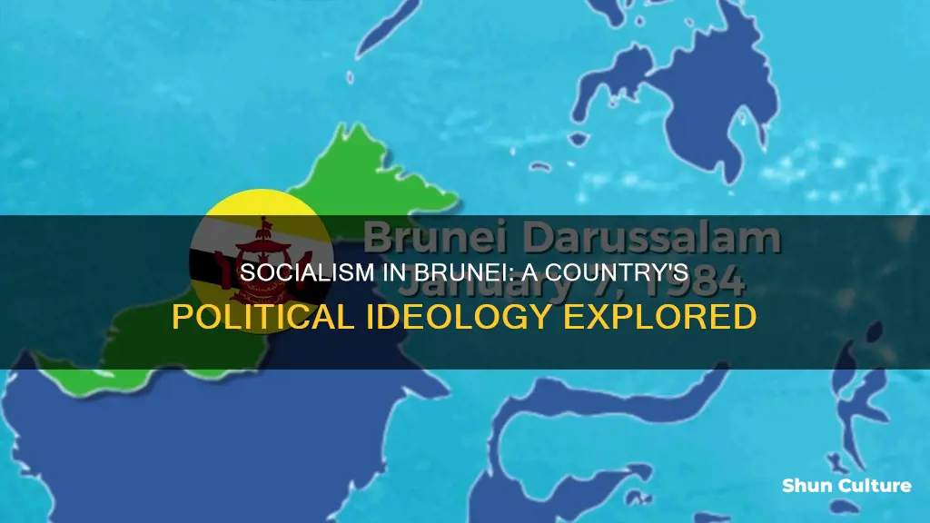 is brunei a socialist country