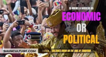 Brunei's Political and Economic Strategies: Success or Failure?