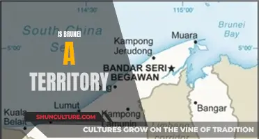 Brunei: A Sovereign State or Territory?