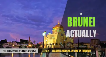 The Enigmatic Nation: Unveiling Brunei's Actual Story