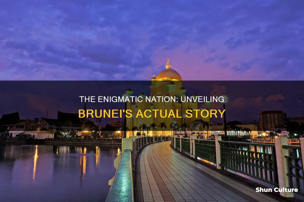 is brunei actually