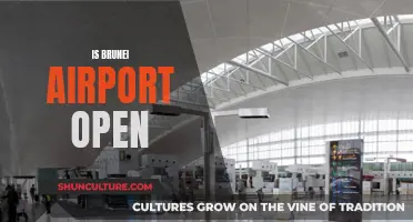 Brunei Airport Operations: Open for Business?