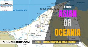 Brunei: Asian or Oceanian? Exploring the Country's Geographical Identity