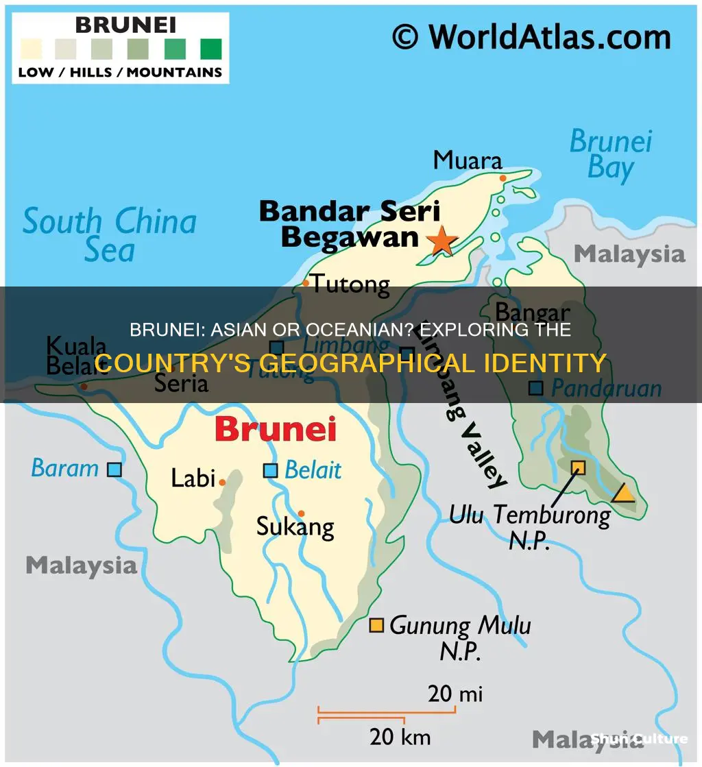 is brunei asian or oceania