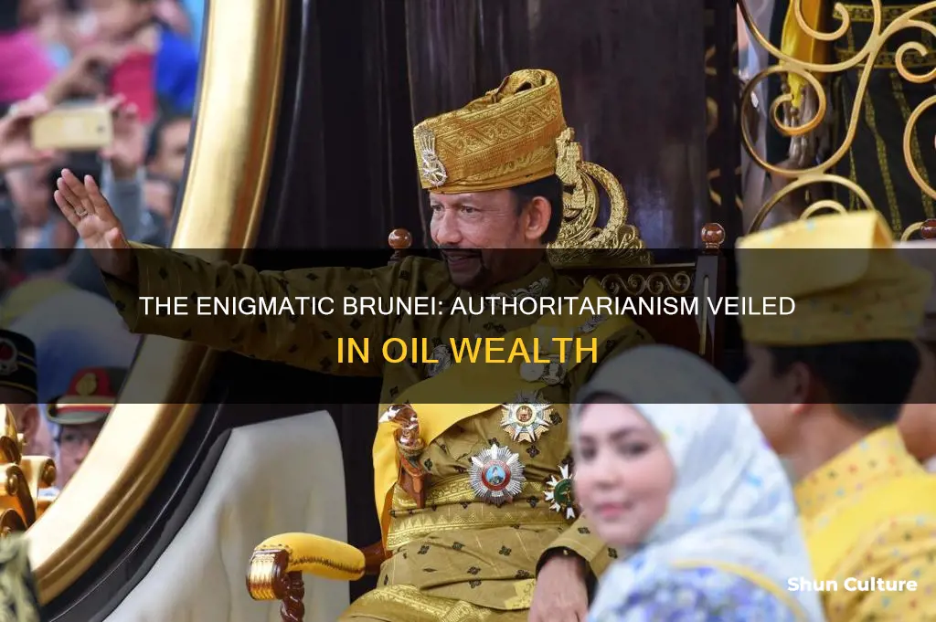 is brunei authoritarian