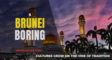 Brunei: A Country of Calm and Tranquility?