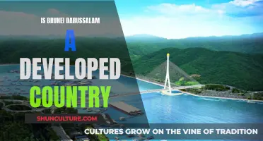 Brunei Darussalam: A Developed Country?