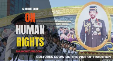 Human Rights in Brunei: A Mixed Bag