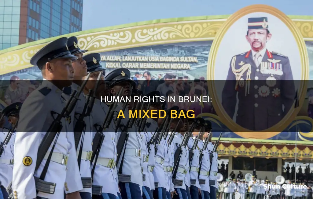 is brunei good on human rights