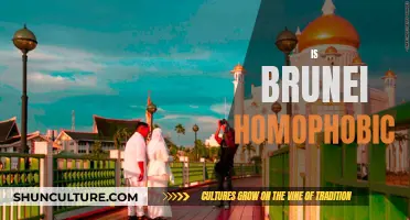 Brunei's Anti-LGBTQ Stance: Homophobic or Complex?