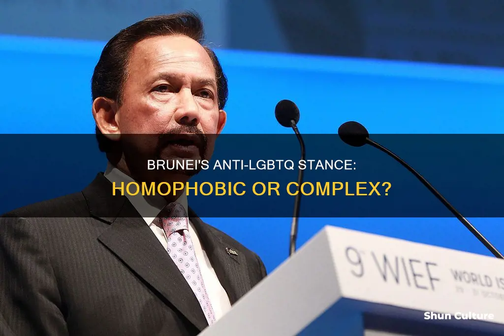 is brunei homophobic