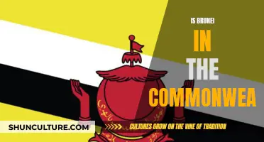 The Commonwealth and Brunei: A Current Membership Perspective