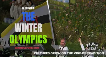 Brunei's Winter Olympics Dream: Is It Possible?