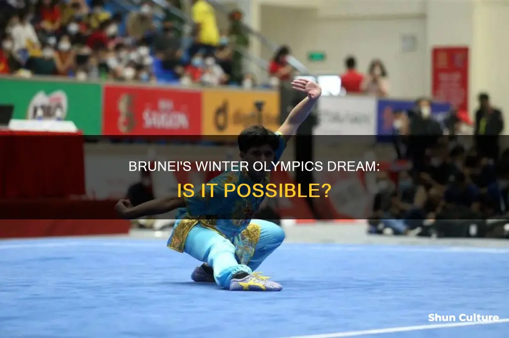 is brunei in the winter olympics