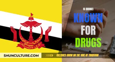 Brunei's Strict Anti-Drug Measures: A Global Example?